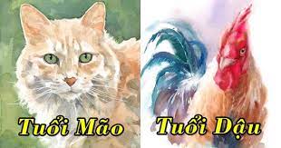 Tử vi thứ Hai ngày 19/7/2021 của 12 Shbet888.com nhà cái uy tín: Mão nhớ cân đối chi tiêu, Dậu chuyện tình cảm khởi sắc