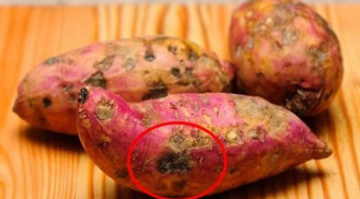 Ăn khoai lang thấy có điểm này cần vứt ngay kẻo mua bệnh về người