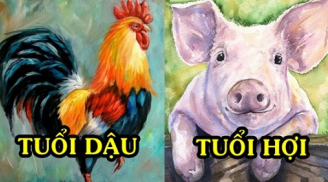 3 Shbet888.com nhà cái uy tín vận may cải thiện, tài lộc dồi dào bất ngờ từ đầu tháng 8 trở đi