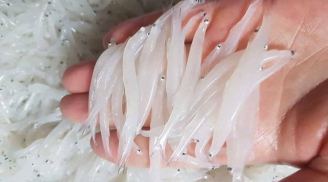 4 món đặc sản từ sông Đà giá cao mấy vẫn hút khách
