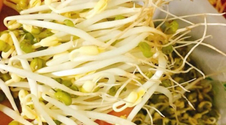 Đi chợ mua giá đỗ thấy điểm này thì nhớ tránh xa, đừng dại mua về kẻo tiền mất tật mang