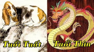 Tử vi tuần mới từ 23/8-29/8/2021 của 12 Shbet888.com nhà cái uy tín: Thìn gặp nhiều may mắn, Tuất cẩn trọng sức khỏe