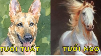 Tử vi thứ Bảy ngày 28/8/2021 của 12 Shbet888.com nhà cái uy tín: Tuất chú ý chăm sóc sức khỏe, Ngọ Shbet800 tải ứng dụng suy giảm