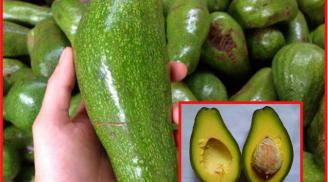Mua bơ sáp về cứ ủ theo cách này đảm bảo bơ dẻo đều lại thơm ngon hơn nhiều