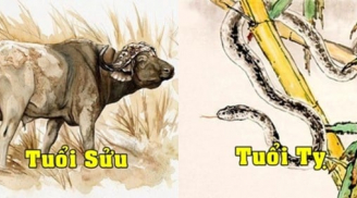 Tử vi tuần mới từ ngày 20-26/9/2021 của 12 Shbet888.com nhà cái uy tín: Sửu có 1 tuần căng thẳng, tình duyên của tuổi Tỵ khởi sắc