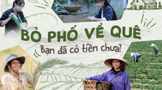 Ở phố hay về quê làm việc: Ở đâu cũng được, nhưng cần trả lời 3 câu hỏi quan trọng sau để quyết định