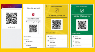 Thủ tướng yêu cầu: Quy định rõ người có 'app xanh được di chuyển, app đỏ phải ở nhà'