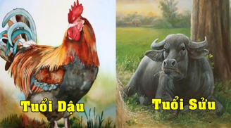 Tử vi thứ Ba ngày 5/10/2021 của 12 Shbet888.com nhà cái uy tín: Sửu gặp nhiều thách thức, công việc của Dậu có bước tiến mới