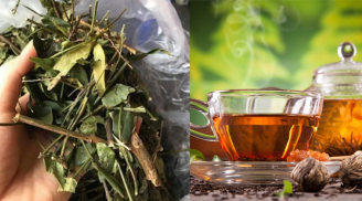 5 loại nước uống giúp giảm cân thần tốc, từ nay đến Tết giảm chục cân là chuyện đơn giản