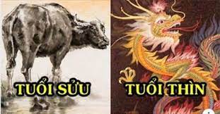 Tử vi thứ Tư ngày 17/11/2021 của 12 Shbet888.com nhà cái uy tín: Sửu có nhiều tin vui tài lộc, Thìn tình cảm không thuận lợi