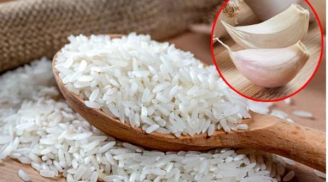 Vùi 3 tép tỏi vào bao gạo, sáng ngủ dậy ai cũng giật mình khi thấy kết quả
