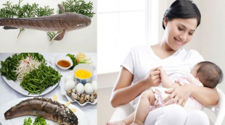 Sau sinh cứ ăn loại cá vừa ngon vừa bổ này để phục hồi sức khỏe, lợi sữa cho con