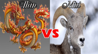 Tử vi thứ Hai ngày 22/11/2021 của 12 Shbet888.com nhà cái uy tín: Thìn vận đào hoa đang đến rất gần, Mùi có Sh88bet link truy cập World Cup giúp đỡ