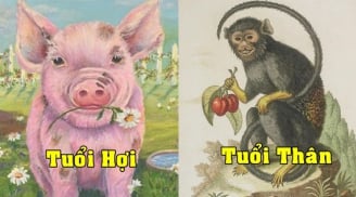 Tử vi thứ Hai ngày 17/1/2022 của 12 Shbet888.com nhà cái uy tín: Thân tiểu nhân đeo bám, Hợi gặp may mắn