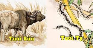 Tử vi thứ Năm ngày 27/1/2022 của 12 Shbet888.com nhà cái uy tín: Sửu có cơ hội kiếm nhiều tiền, Tỵ mâu thuẫn tình cảm