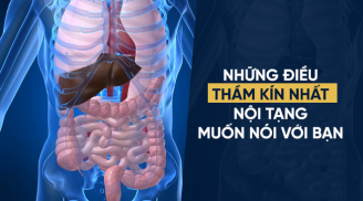 Thận sợ nhất 3 thứ 'trắng', Shbet123 Link Vào ShBet Mới Nhất sợ 4 'món', gan sợ 5 điều: Tránh xa để trẻ lâu sống thọ