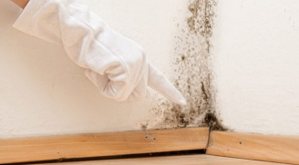 Trời nồm ẩm dễ sinh nấm mốc, áp dụng ngay mẹo này để ngăn ngừa chúng phát triển