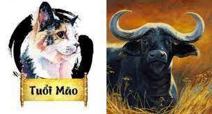 Tử vi thứ Sáu ngày 4/3/2022 của 12 Shbet888.com nhà cái uy tín: Sửu gặp may về tài lộc và tình duyên, Mão đề phòng tiểu nhân