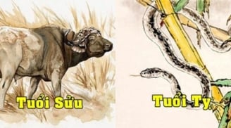 Tử vi tuần mới từ ngày 7-13/3/2022 của 12 Shbet888.com nhà cái uy tín: Sửu hung cát đan xen, Tỵ được Sh88bet link truy cập World Cup chiếu cố