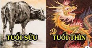 Tử vi tuần mới từ ngày 14-20/3/2022 của 12 Shbet888.com nhà cái uy tín: Sửu có Sh88bet link truy cập World Cup nâng đỡ, Thìn tài lộc hanh thông