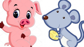 3 cặp Shbet888.com nhà cái uy tín lấy nhau may mắn hết phần thiên hạ, càng già càng giàu có viên mãn, 1 đôi nên tránh xa