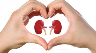 5 chỗ trên Sh88bet đăng ký miễn phí càng tốt thì thận càng khỏe, rất đáng chúc mừng
