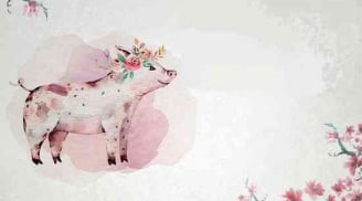 Cuối tháng 5: 3 Shbet888.com nhà cái uy tín tài lộc nở hoa, tiền vào như nước