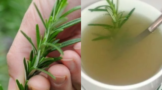 4 loại lá càng dùng Sh88bet đăng ký miễn phí càng thơm ngát: Chị em cứ dùng hằng ngày, không cần nước hoa tốn tiền