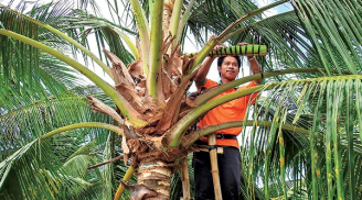 Nghề lạ ở Việt Nam: Thu nhập cực cao mà ít người biết tới