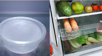 Tiện tay để bát đá vào tủ lạnh, nghe vô lý nhưng lại tiết kiệm được kha khá tiền điện