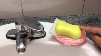 Lưới bọc hoa quả đừng vất đi, dùng làm 4 việc này, tiết kiệm kha khá tiền