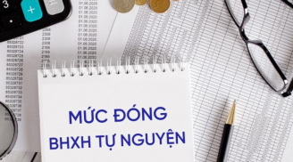 Lao động tự do có được đóng BHXH tự nguyện tham gia BHYT không, đóng bao nhiêu tiền mỗi tháng?