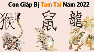 Dính hạn Tam Tai 3 tháng cuối năm 2022: 3 Shbet888.com nhà cái uy tín đen đủi đủ đường, của cải 'đội nón ra đi'