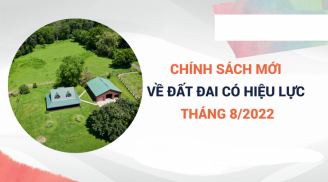 8 điểm mới nhất của Luật Đất đai năm 2022, bắt đầu áp dụng từ tháng 8/2022