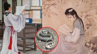 Tại sao người xưa lại nói: 'Đàn ông sợ rắn rơi, đàn bà sợ chuột rơi', ý nghĩa thực sự cực thâm thúy