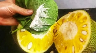 Mẹo làm sạch nhựa mít đơn giản, ăn thoả mái không dính tay