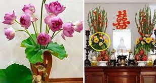 Mùng 1 âm lịch: Đặt loại hoa này lên bàn thờ để phúc lộc dồi dào, cả tháng may mắn tiền vào như nước