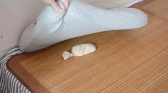 Đêm ngủ đặt 1 nắm gạo dưới gối, sáng hôm sau kinh ngạc vì hiệu quả ngoài sức tưởng tượng