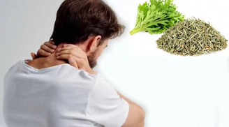 Đau mỏi vai gáy lâu năm, lấy 1 nắm ngải cứu làm theo cách này: Giảm đau nhanh, nhiều người áp dụng thành công