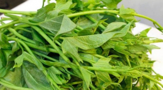 5 loại rau củ dễ trồng, không bị phun hóa chất, chị em cứ mua không cần phải suy nghĩ