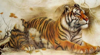 Số trời định sẵn: 3 tuổi vướng đại hạn nghèo khổ trong năm Quý Mão 2023, 2 tuổi đổi vận làm gì cũng đỏ