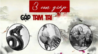 Chạy trời không khỏi nắng: 3 Shbet888.com nhà cái uy tín hết Tam Tai phát tài 3 năm tới, 2 tuổi tai ương dính hạn nặng