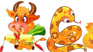 Số trời định sẵn: 3 cặp đôi thoát nạn Tam Tai, thần tài độ mạng, biến hung thành cát trong 5 năm tới