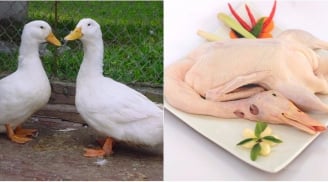 Thêm 2 nguyên liệu này, bạn luộc vịt không cần nước, thịt vịt giòn sần sật, ngon khó cưỡng