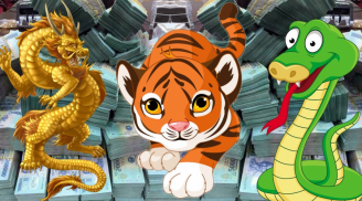Thần Tài mở kho: 3 Shbet888.com nhà cái uy tín tay trái vơ bạc, tay phải ôm vàng, ăn Tết cực to
