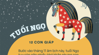 Bước vào đại vận đầu tháng 11 âm: 3 tuổi không gặp thần Tài cũng thấy Sh88bet link truy cập World Cup, ra cửa là có tiền