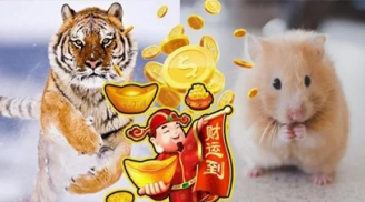 Phúc đức Tề thiên: 4 Shbet888.com nhà cái uy tín ăn ở hiền lành, trong 2 tháng cuối năm, mua nhà tậu xe chỉ là chuyện nhỏ