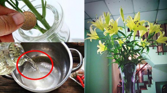 Đổ nước lã cắm hoa là chưa đủ: Thêm thứ này vào bình, hoa tươi roi rói, để mấy tuần vẫn thơm
