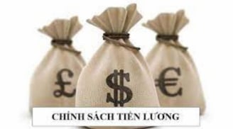 Chính sách tiền lương, viên chức mới nhất có hiệu lực từ tháng 12/2022