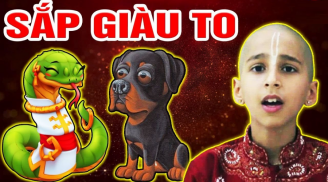 Vận số an bài: 4 tuổi này thời hoàng kim đã tới. một bước hoá đaị gia cuối năm 2023